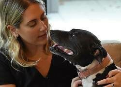 A new fund aims to help pit bull owners receive pet care services for $25