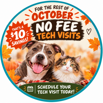 No-Fee Tech Visits All October Long!