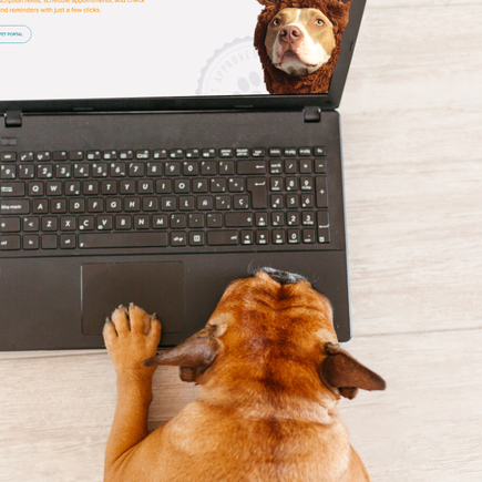 Our Client Portal is Live!