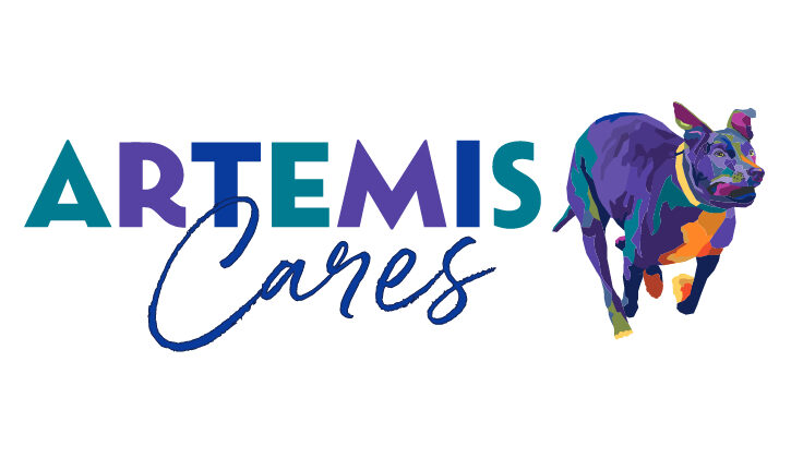 Artemis Cares Fund